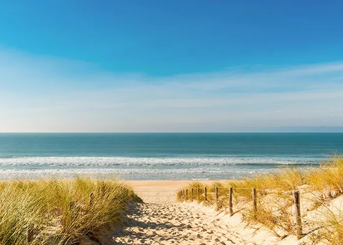 Lejlighed 1 Bedroom Cozy In *