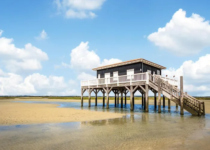 1 Bedroom Cozy In Lejlighed Audenge